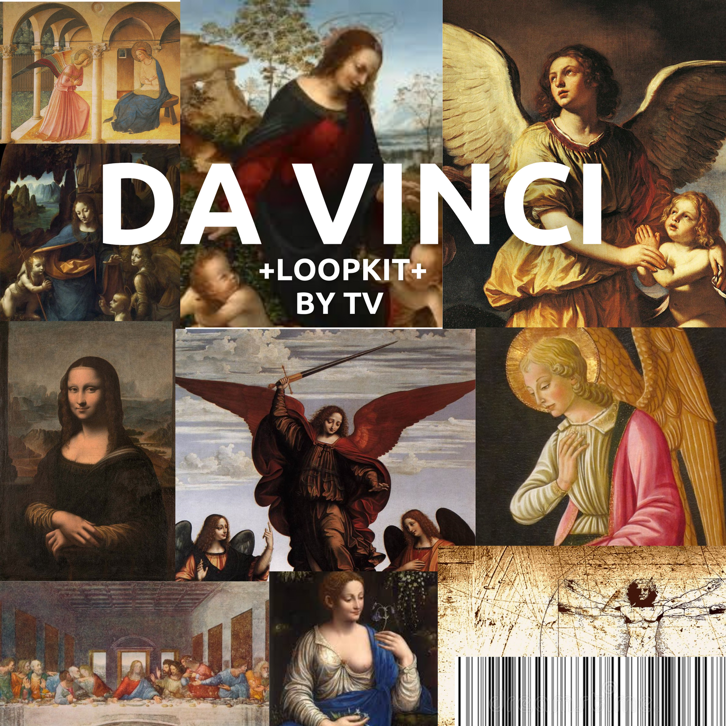 DA Vinci Vol 1